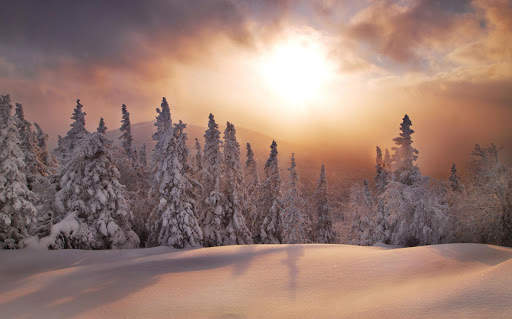 Snow Wallpaper HD : backgrounds & themes screenshot 9