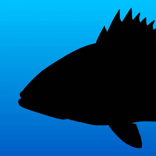 Fish Rules: Fishing App 6.67.0