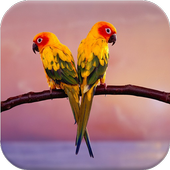 Bird sound icon