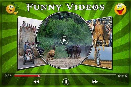 Funny Videos скриншот 1