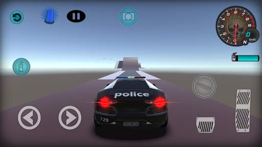 Police Car Driving 3d screenshot 2