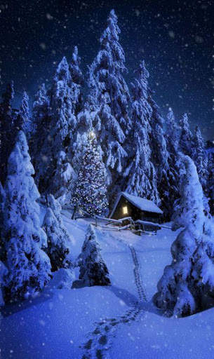 Winter Wallpaper 4K screenshot 9