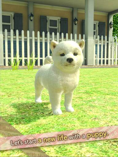 with My DOG screenshot 9