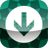 Downloader PRO 1.0.0