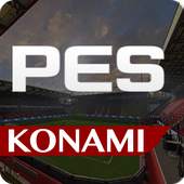 Guide PES 2018 1