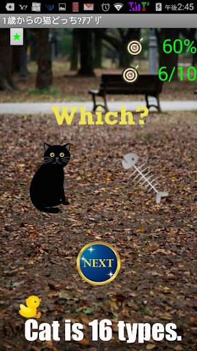 Cat App from One Year-Olds 1【for young children】 screenshot 8