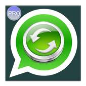 Beta Whatsapp Updates PRO 1.3.1