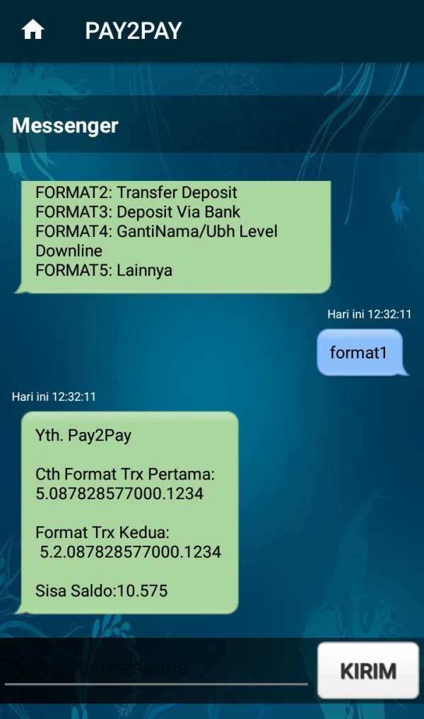 PAY2PAY скриншот 5