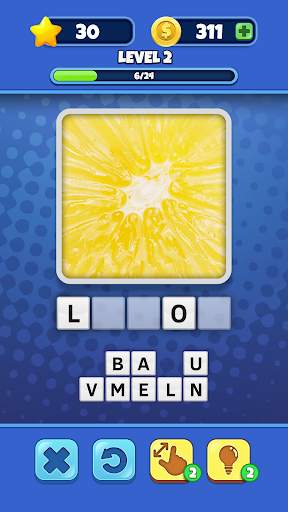 Guess it! Zoom Pic Trivia Game screenshot 5