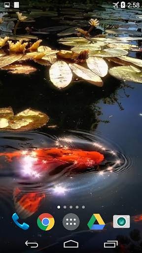 Koi 3D Live Wallpaper screenshot 2