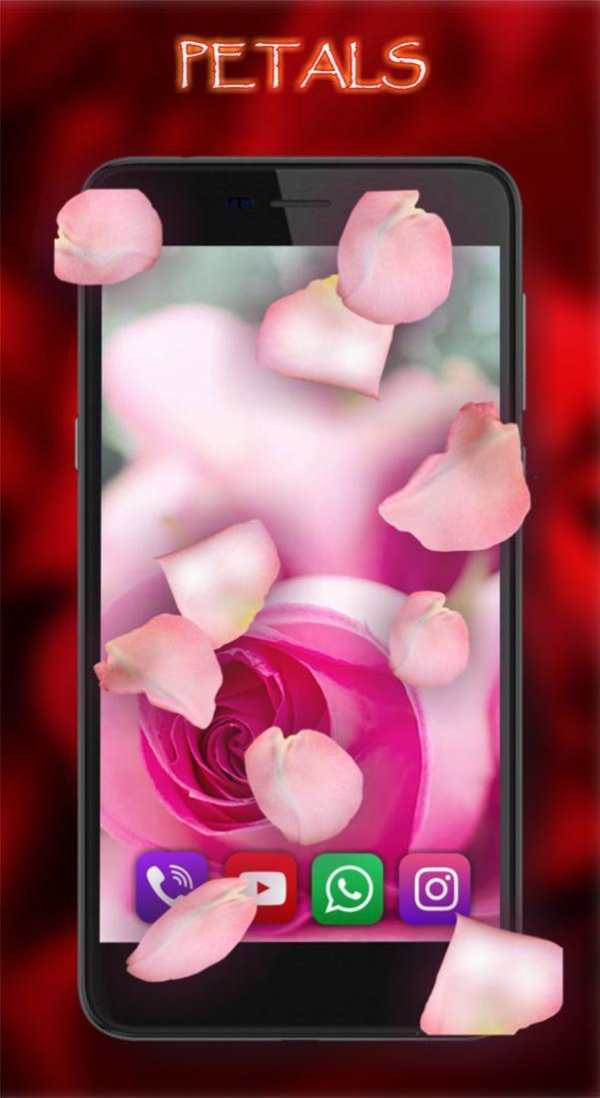 Roses Love Best LWP screenshot 4