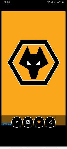 Wolves Wallpapers & Lock Screen 4 تصوير الشاشة