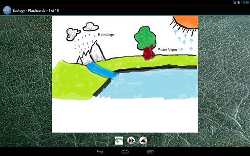 BIOLOGY - ECOLOGY screenshot 9