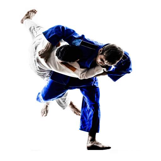 Jiu Jitsu Guide 1.2
