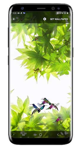 Birds Flying Live Wallpaper screenshot 4