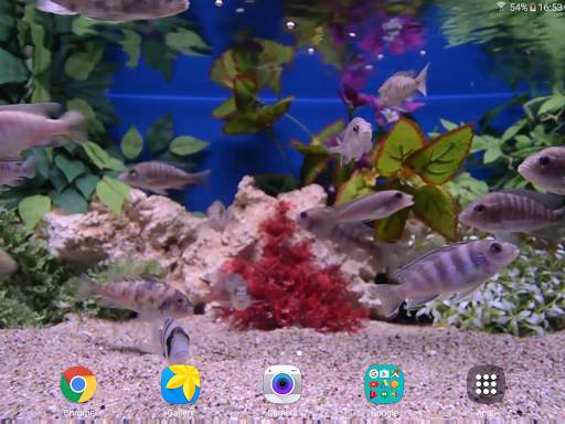 Aquarium 4K Live Wallpaper screenshot 11