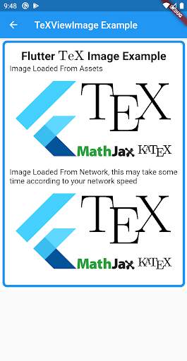 Flutter TeX (Demo App) screenshot 5
