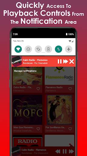 Flamenco Music screenshot 6