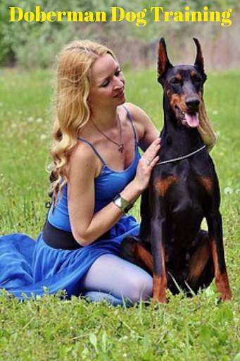 Doberman Dog Training screenshot 6