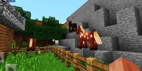 Hide-and-seek Farm Mini-game. Map for MCPE screenshot 6