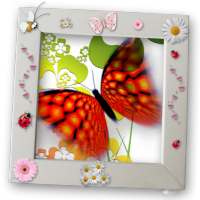 Butterfly Raising - My Butterfly garden logo