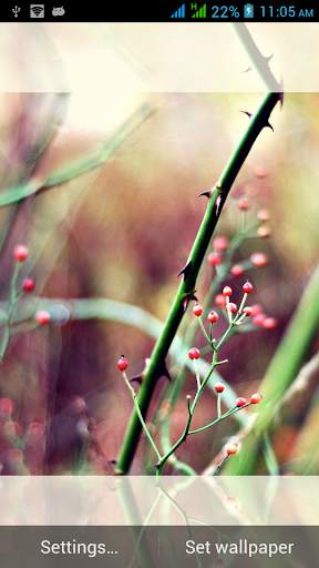 Top Nature Live Wallpapers screenshot 8