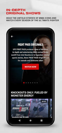 UFC screenshot 6