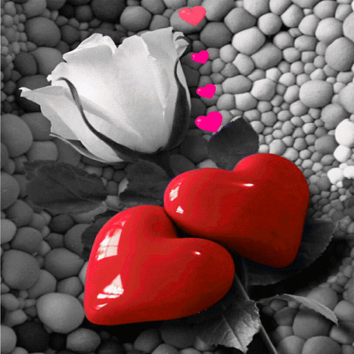 Valentine Rose Hearts LWP icon