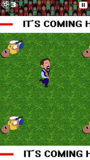 It's Coming Home! : THE GAME screenshot 2