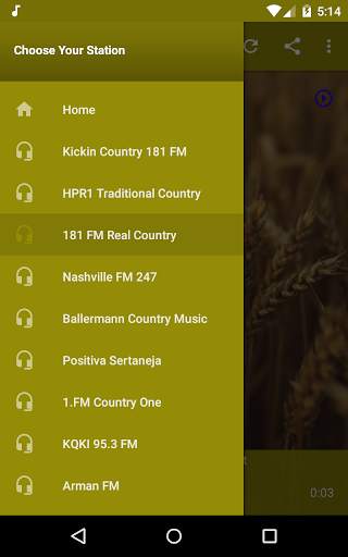 Country Music Radio - Western, Southern, Hillbilly screenshot 4