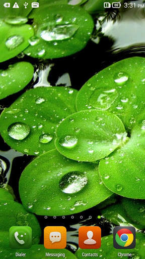 Green Leaf Live Wallpaper screenshot 2