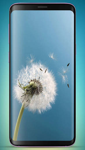 3D Flower Wallpaper HD screenshot 9