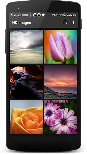 Image Search - HD Wallpapers Backgrounds Download screenshot 1