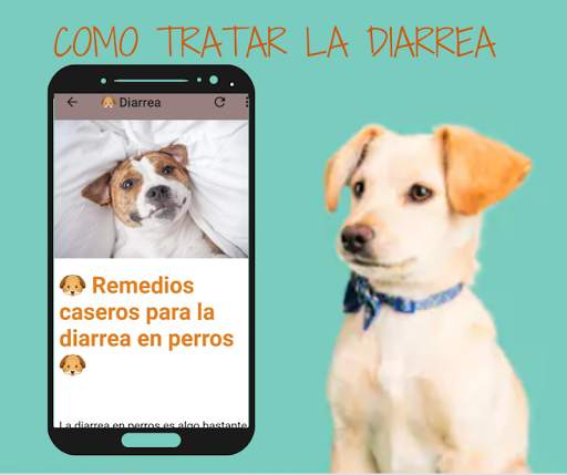🐶 Free Dog Home Remedies 🐶 screenshot 3