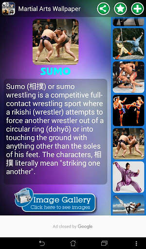 Martial Arts Wallpaper screenshot 16