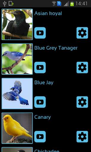 Bird Sounds & Ringtones स्क्रीनशॉट 1