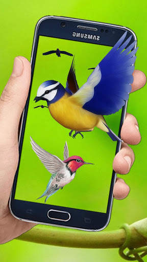 Flying Birds 3d Live wallpaper screenshot 3