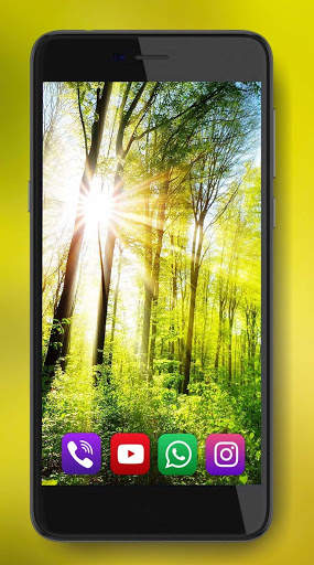 Forest Gallery Live Wallpaper screenshot 6