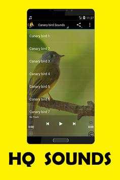 Canary bird Sounds screenshot 1