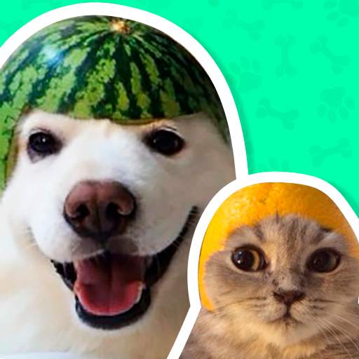 Animal Stickers for WhatsApp 1.7