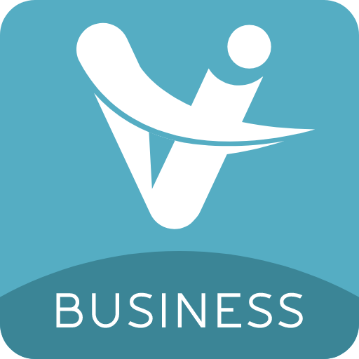 Vconsol Business icon