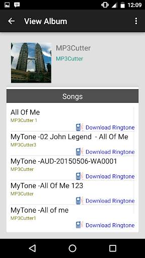 Music Album Editor screenshot 5