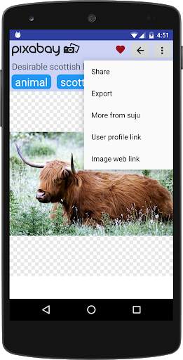 Free Pics Image Search screenshot 5