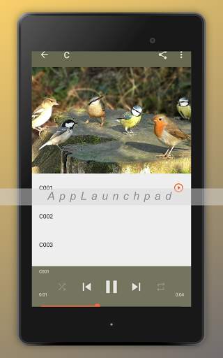 Bird Songs Ringtones screenshot 13