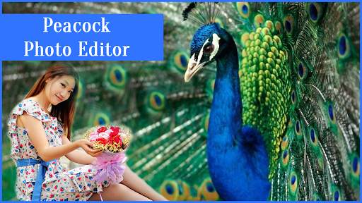 Peacock Photo Editor 4 تصوير الشاشة