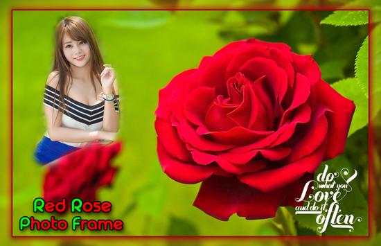 Red Rose Photo Frames screenshot 1