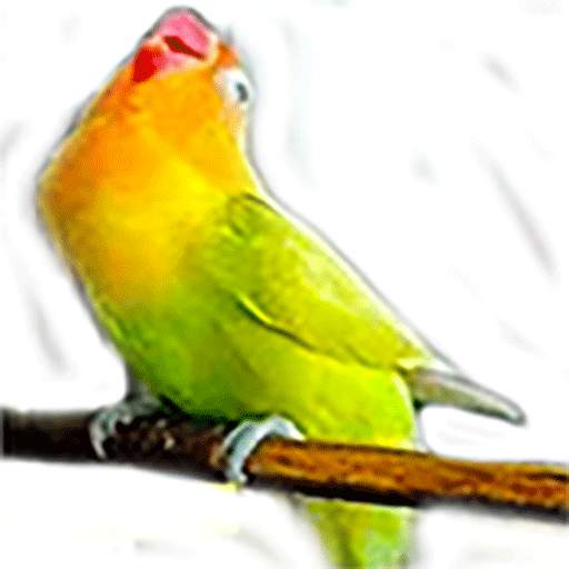 Masteran suara burung Lovebird screenshot 1