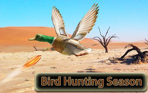 Desert Birds Sniper Shooter - Bird Hunting 2019 screenshot 1