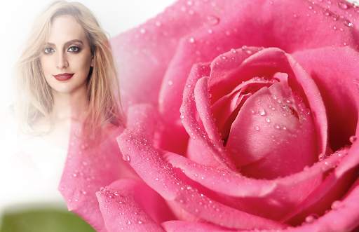 Macro Rose Photo Frames screenshot 2