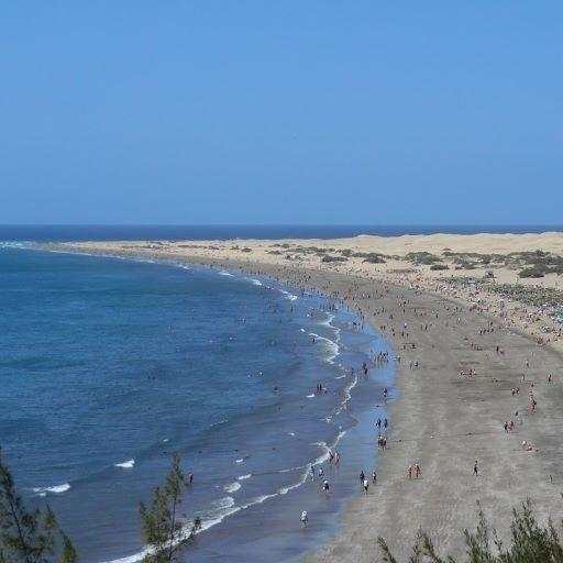 Gran Canaria App für den Urlaub 3.3